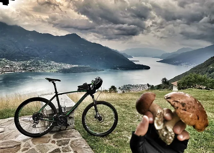 Incantevole Terrazza Sul Di