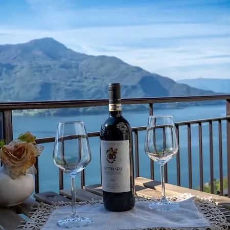 Incantevole Terrazza Sul Di Gera Lario