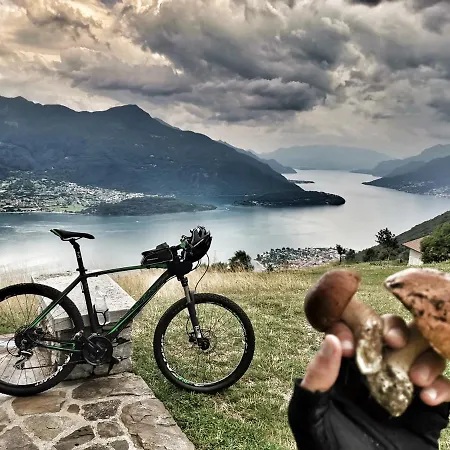 Incantevole Terrazza Sul Di